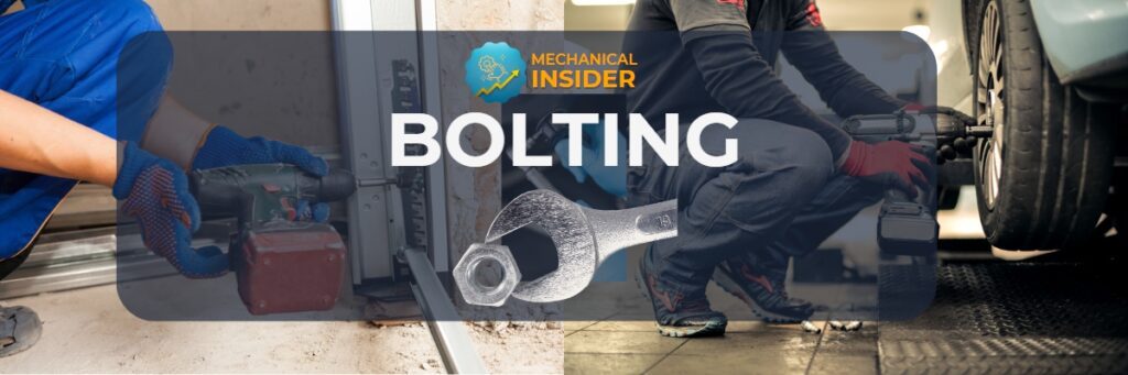 bOLTING CATEGORY BANNER IMAGE
